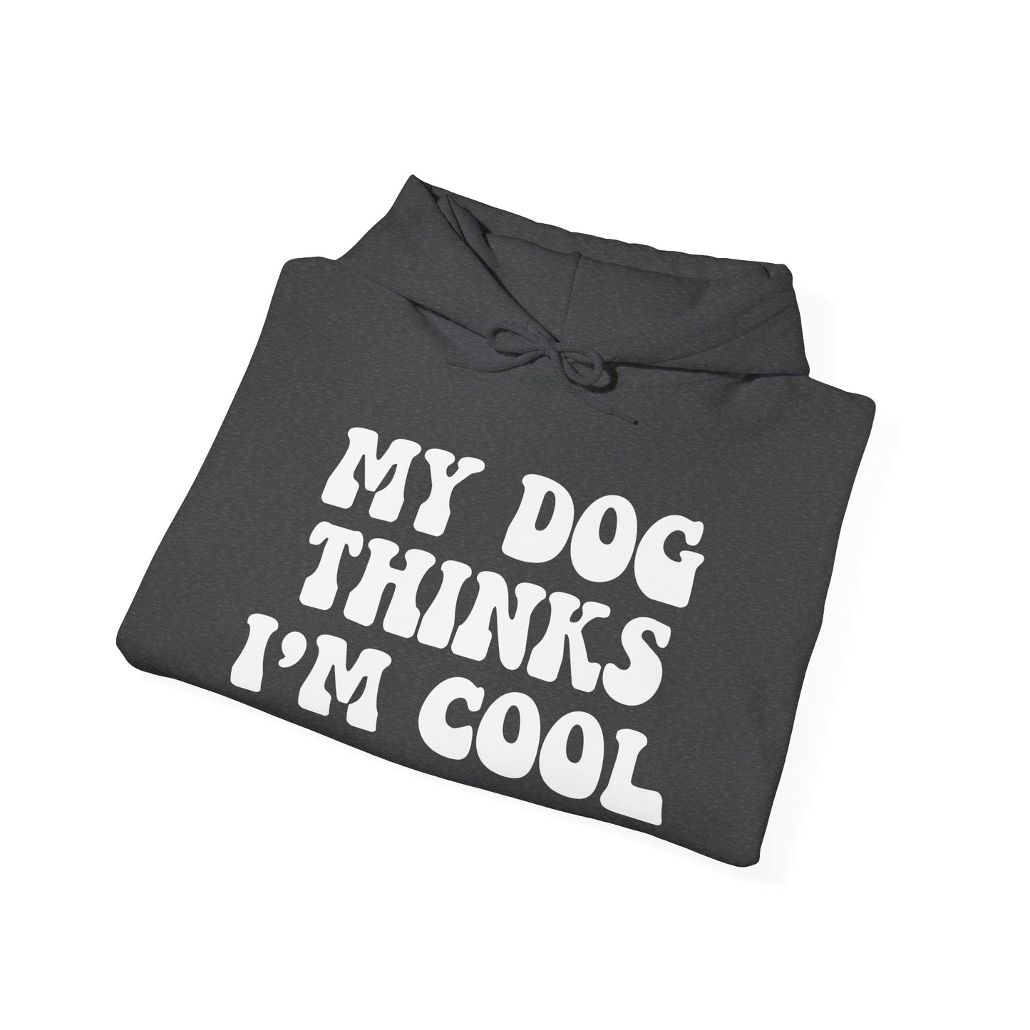 ‘My dog thinks I’m cool’ Heavy Blend™ Hooded Sweatshirt