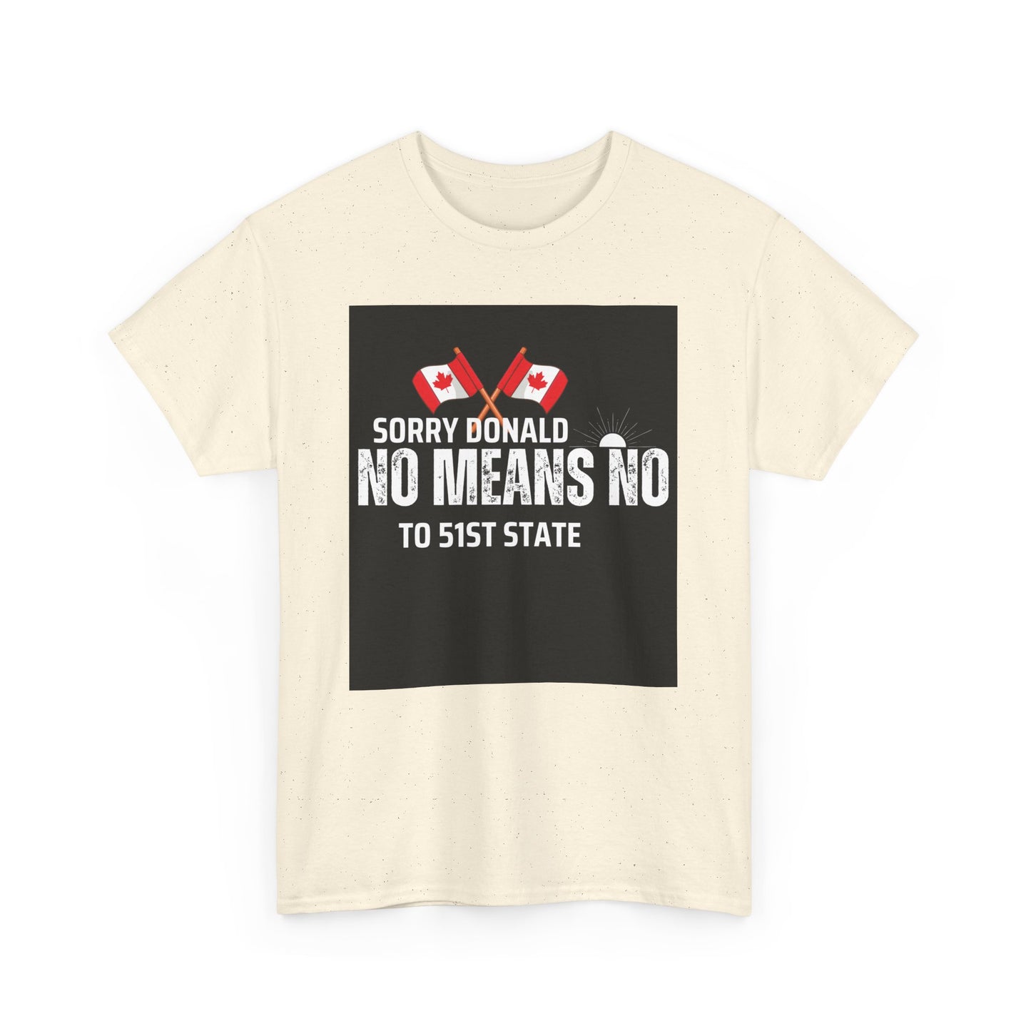 Unisex Heavy Cotton Tee - "Sorry Donald, No Means No to 51st State"