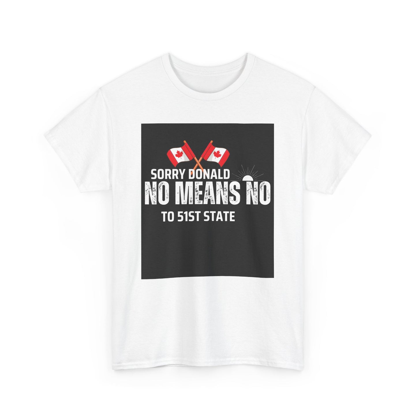 Unisex Heavy Cotton Tee - "Sorry Donald, No Means No to 51st State"