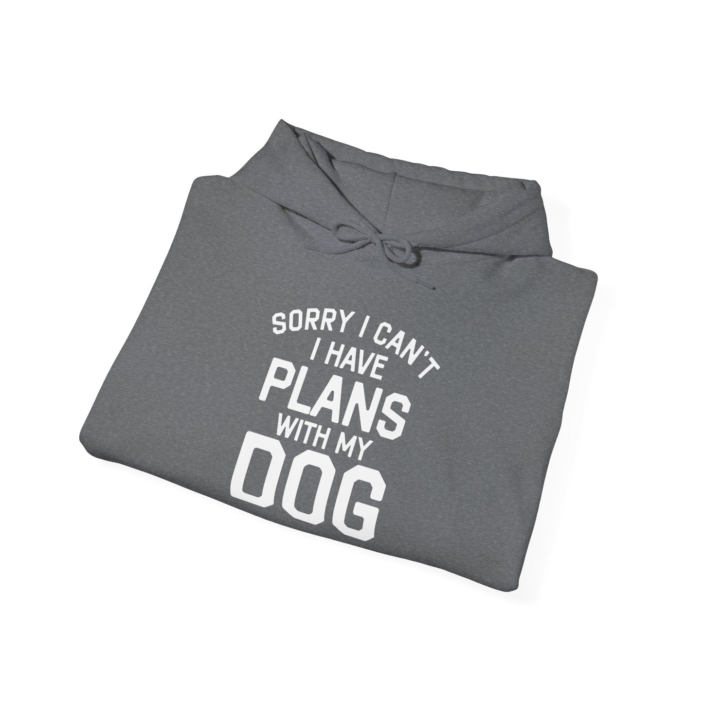 ‘Sorry I can’t, I have plans with my dog’ Heavy Blend™ Hooded Sweatshirt